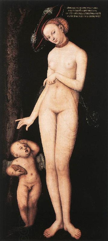 CRANACH, Lucas the Elder Venus and Cupid dsf oil painting picture